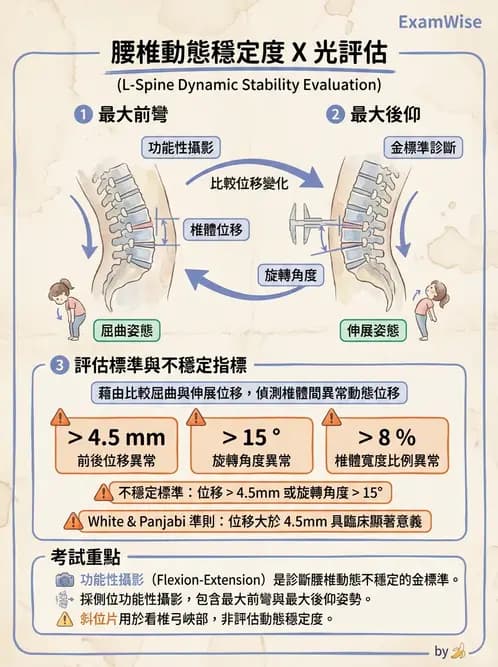 放射 - 頭頸脊椎攝影技術 - AI 圖文解析預覽