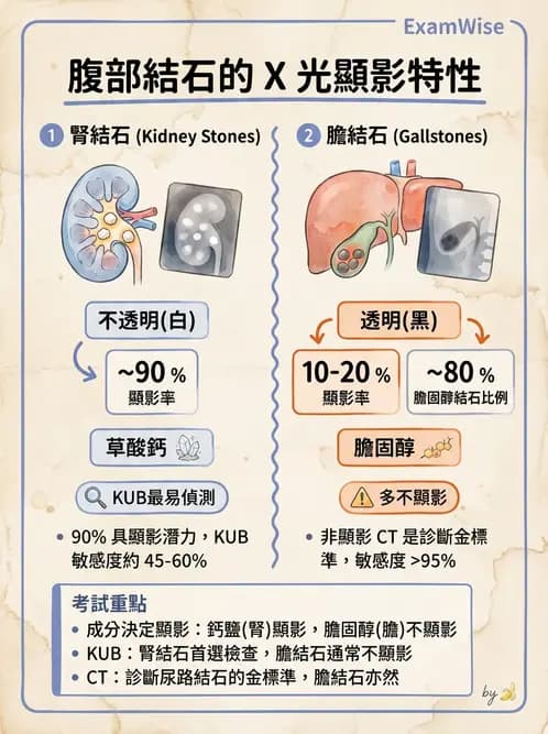 放射 - 軀幹四肢攝影技術 - AI 圖文解析預覽