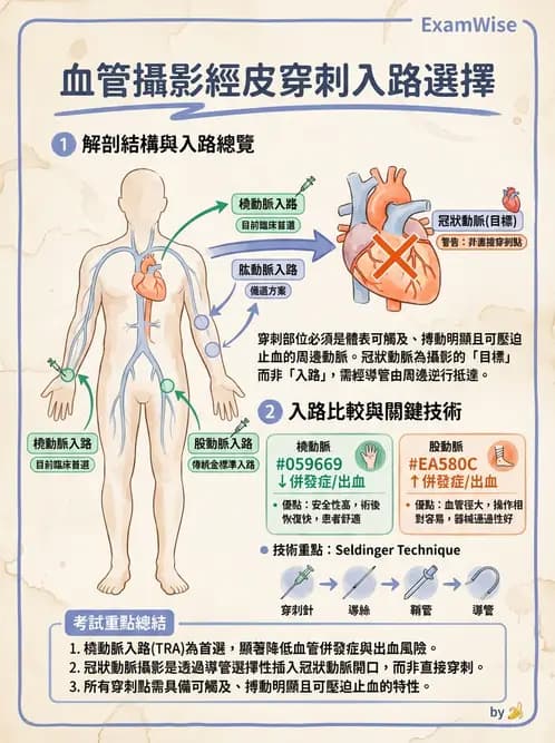 放射 - 血管攝影原理與解剖 - AI 圖文解析預覽