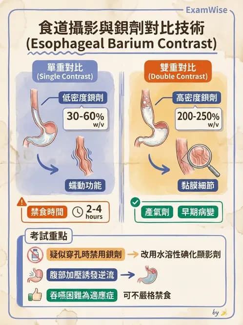 放射 - 消化道造影 - AI 圖文解析預覽