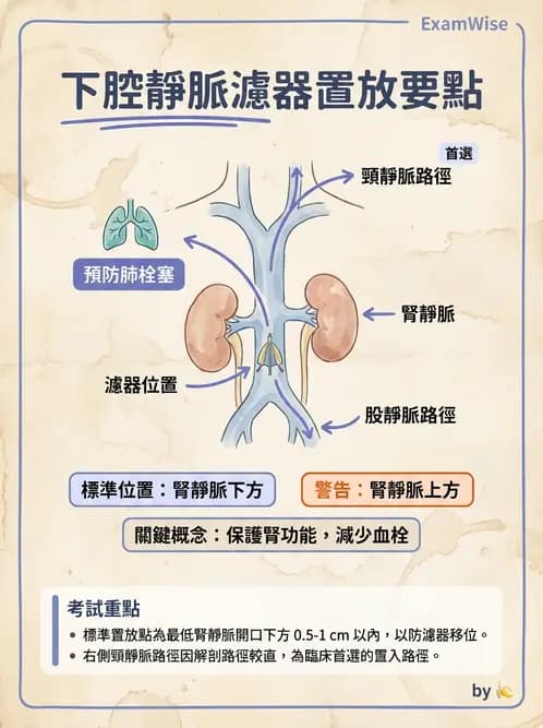 放射 - 導管技術與介入性治療 - AI 圖文解析預覽