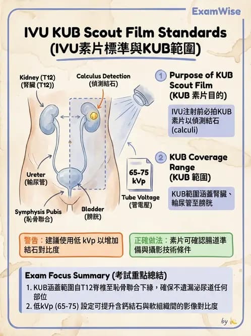 放射 - 泌尿生殖攝影 - AI 圖文解析預覽