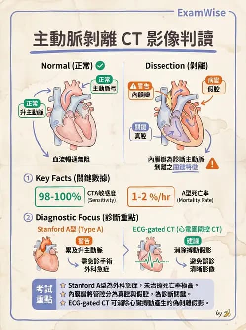 放射 - 胸腹部CT診斷 - AI 圖文解析預覽