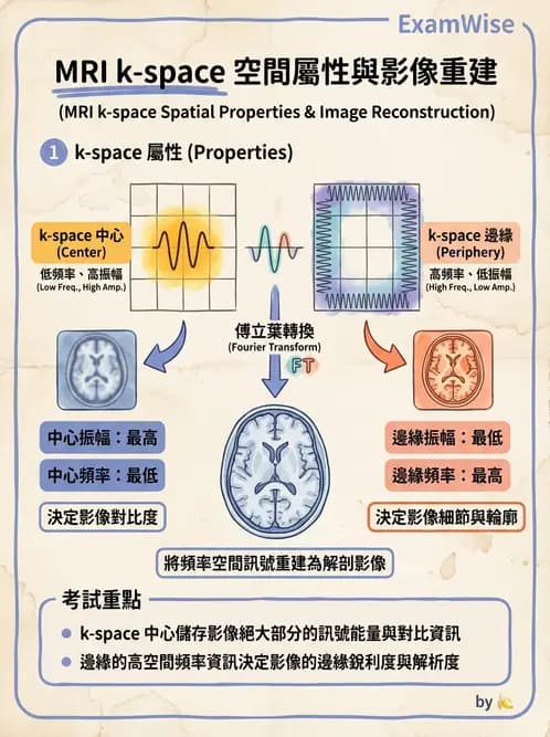 放射 - 磁振影像品質與參數 - AI 圖文解析預覽
