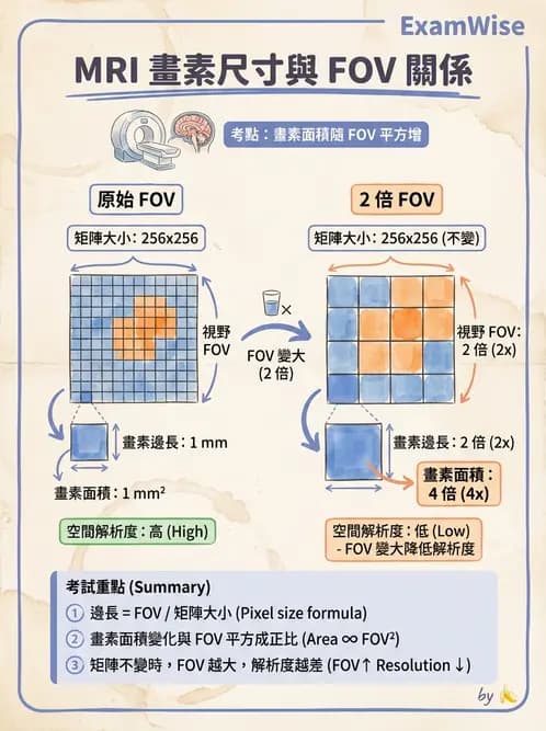 放射 - 磁振影像品質與參數 - AI 圖文解析預覽