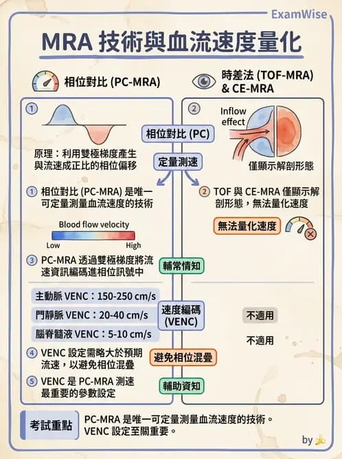 放射 - MR進階影像與臨床應用 - AI 圖文解析預覽