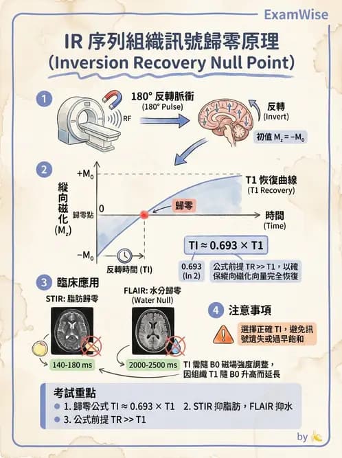 放射 - MRI脈衝序列與訊號技術 - AI 圖文解析預覽