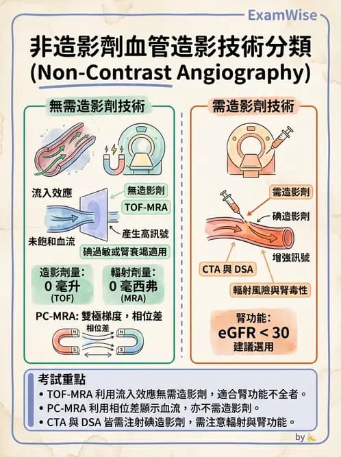 放射 - MR進階影像與臨床應用 - AI 圖文解析預覽