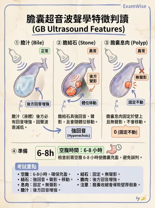 放射 - 膽胰脾超音波 - AI 圖文解析預覽