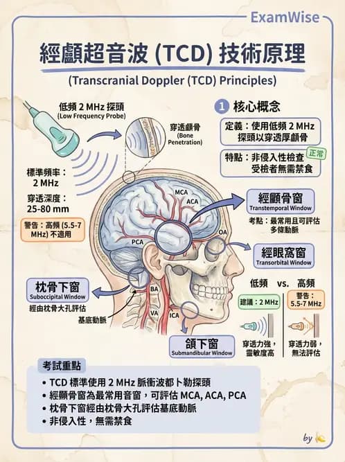 放射 - 腎臟血管與其他超音波 - AI 圖文解析預覽