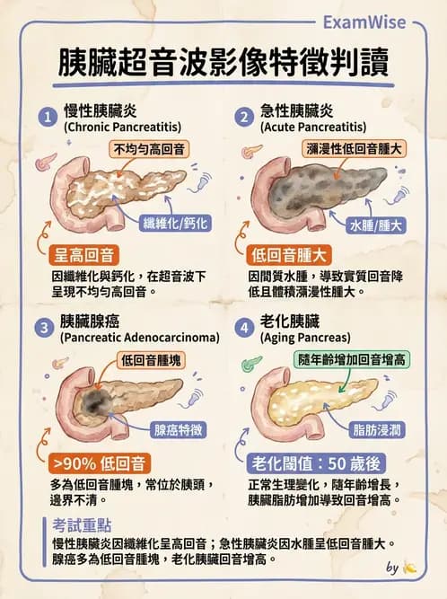 放射 - 膽胰脾超音波 - AI 圖文解析預覽