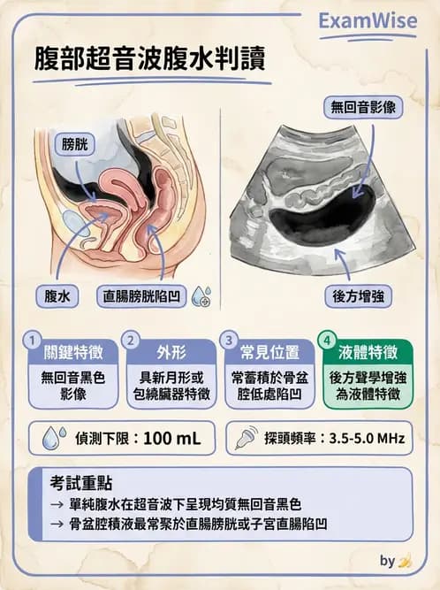 放射 - 肝臟超音波 - AI 圖文解析預覽