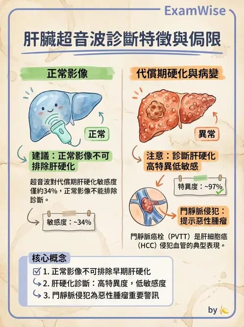 放射 - 肝臟超音波 - AI 圖文解析預覽