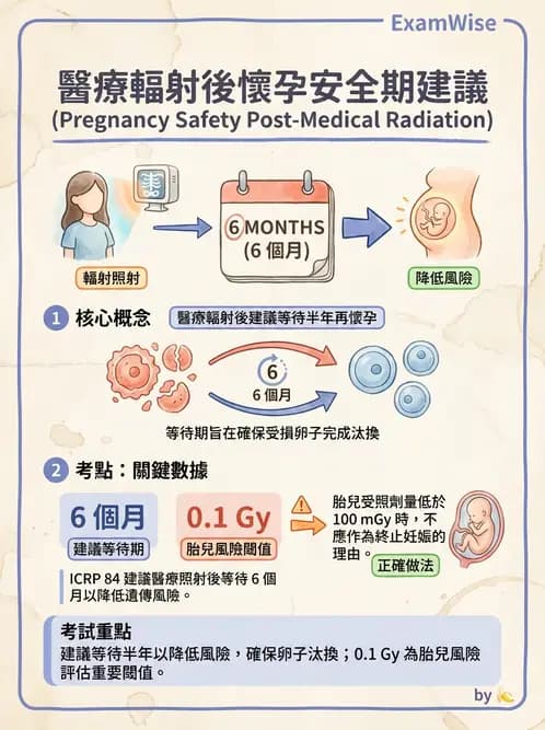 放射 - 輻射致癌與遺傳效應 - AI 圖文解析預覽