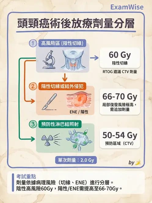 放射 - 疾病部位計畫與危急器官保護 - AI 圖文解析預覽