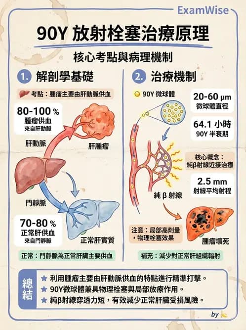 放射 - 血管內近接治療 - AI 圖文解析預覽