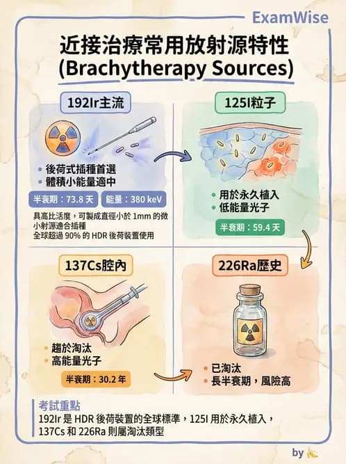 放射 - 插種近接治療 - AI 圖文解析預覽