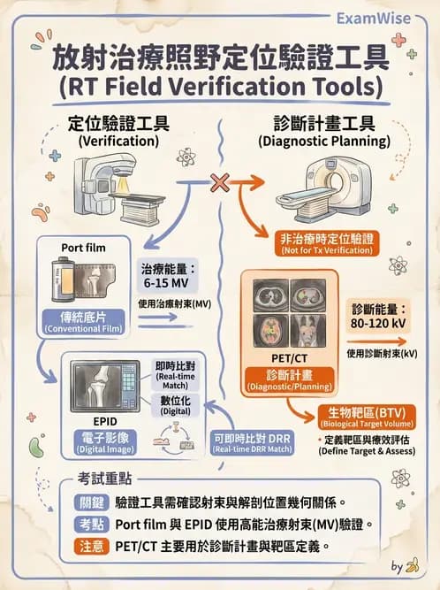 放射 - 影像導引放射治療(IGRT)與臨床應用 - AI 圖文解析預覽