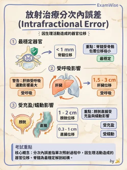 放射 - 影像導引放射治療(IGRT)與臨床應用 - AI 圖文解析預覽