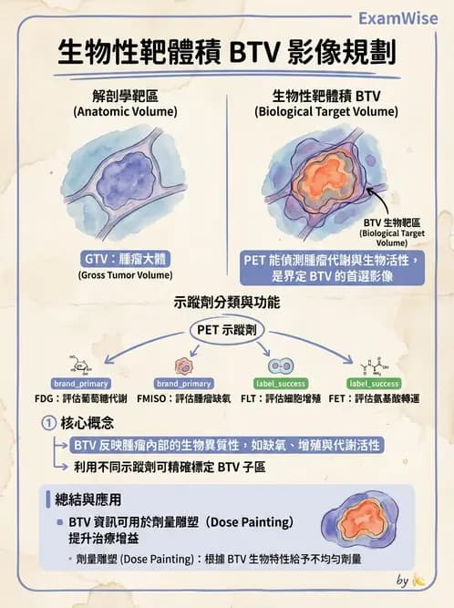 放射 - 多模影像模擬攝影與呼吸運動管理 - AI 圖文解析預覽