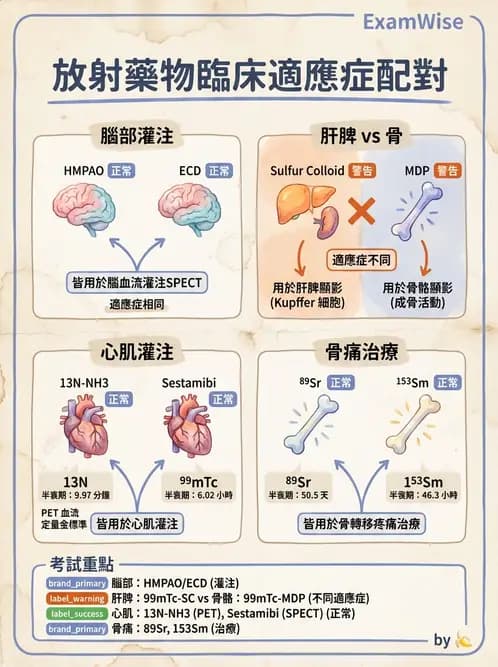 放射 - 肺肝膽與製劑通則 - AI 圖文解析預覽