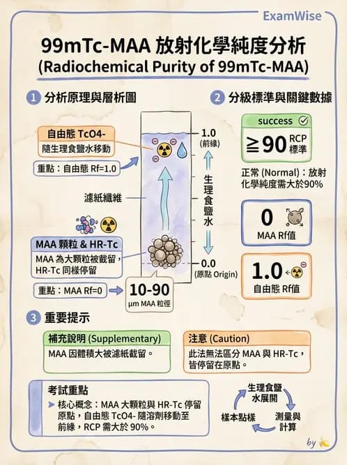 放射 - 肺肝膽與製劑通則 - AI 圖文解析預覽