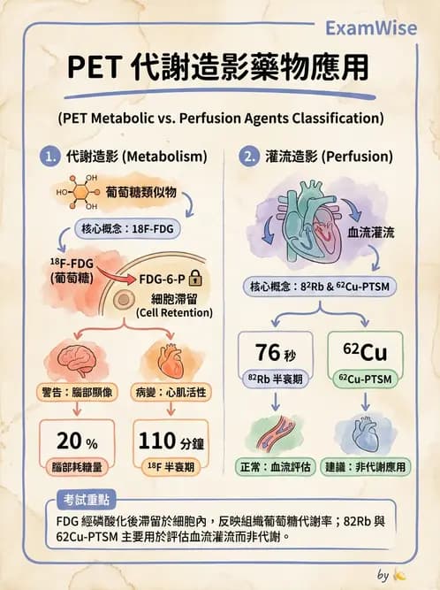 放射 - PET藥物基礎與心臟造影 - AI 圖文解析預覽