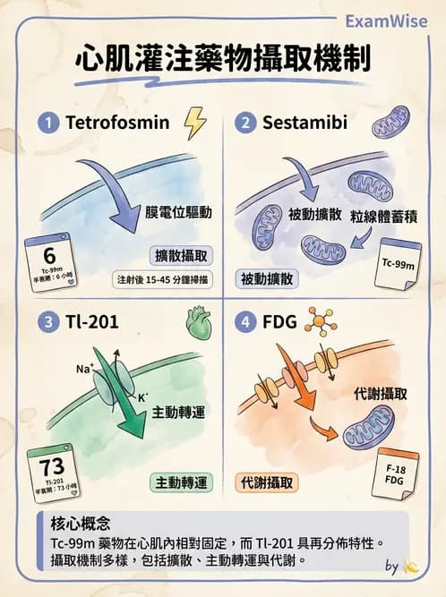 放射 - 心肌造影SPECT藥物 - AI 圖文解析預覽