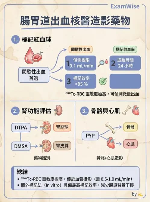 放射 - 肺肝膽與製劑通則 - AI 圖文解析預覽