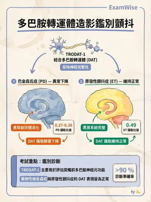 放射 - 腦部造影 - AI 圖文解析預覽