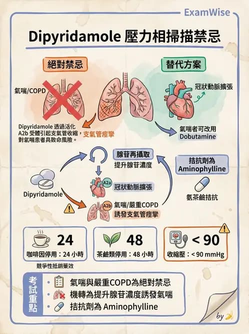 放射 - 心臟灌注造影 - AI 圖文解析預覽