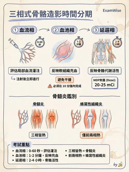 放射 - 骨骼造影 - AI 圖文解析預覽