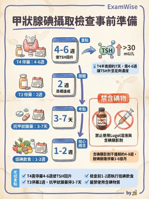 放射 - 甲狀腺造影 - AI 圖文解析預覽