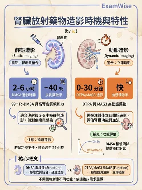 放射 - 腎臟造影SPECT藥物 - AI 圖文解析預覽