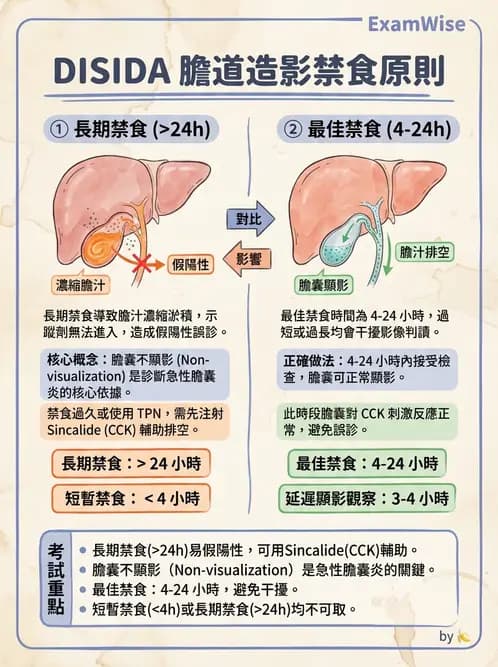 放射 - 肝膽造影 - AI 圖文解析預覽