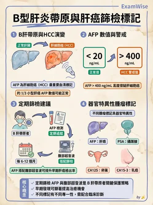 放射 - 免疫分析品管與臨床應用 - AI 圖文解析預覽