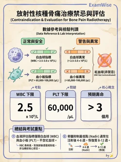 放射 - 治療用核醫藥物 - AI 圖文解析預覽