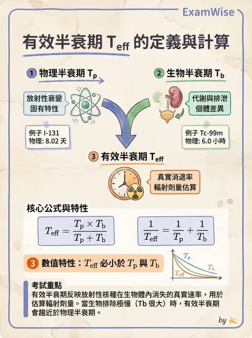 放射 - 蛻變類型與計算 - AI 圖文解析預覽