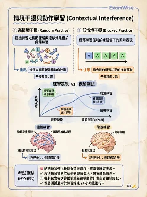 物治 - 動作學習 - AI 圖文解析預覽