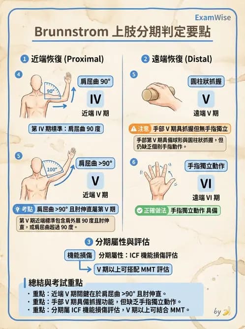 物治 - 腦中風動作評估與分期 - AI 圖文解析預覽