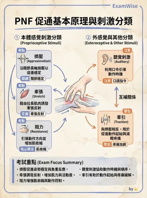 物治 - 神經治療學派技術 - AI 圖文解析預覽
