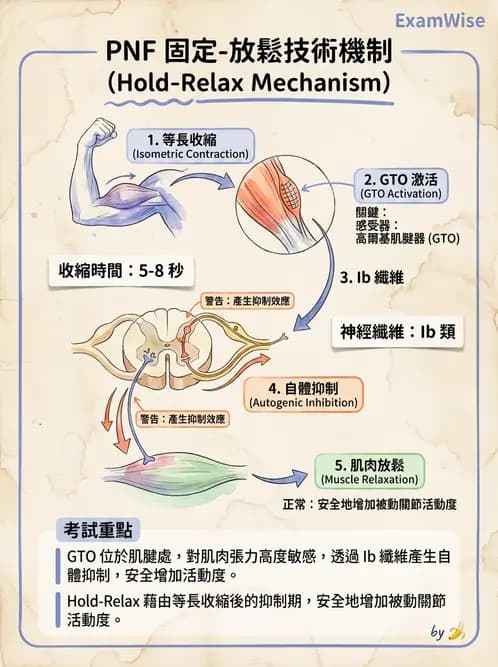 物治 - 神經治療學派技術 - AI 圖文解析預覽