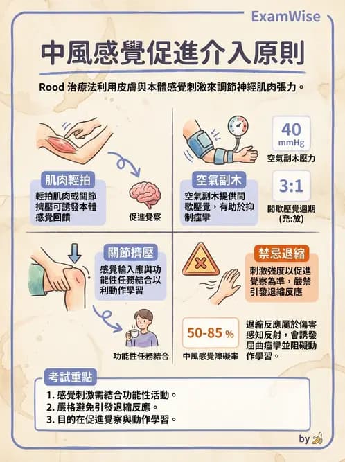 物治 - 腦中風感覺知覺與認知 - AI 圖文解析預覽