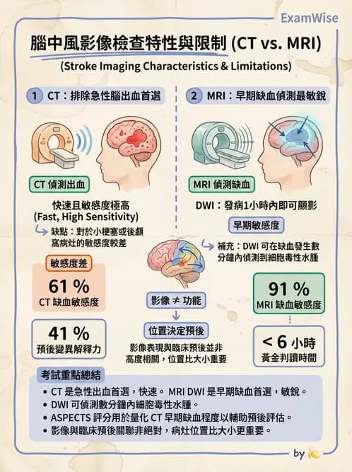 物治 - 腦中風病理與血管解剖 - AI 圖文解析預覽