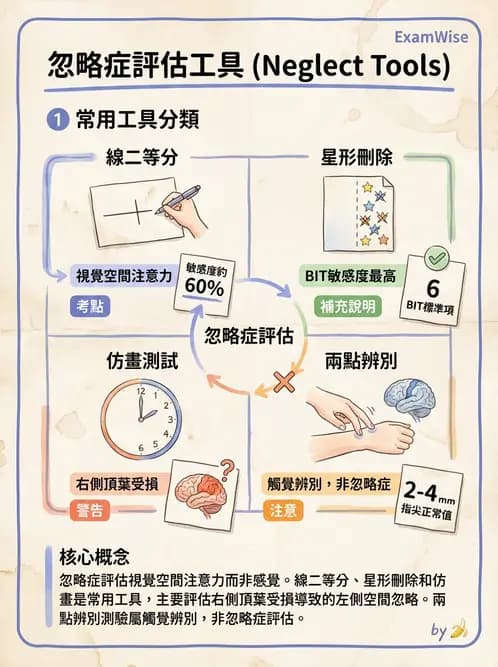物治 - 腦中風感覺知覺與認知 - AI 圖文解析預覽