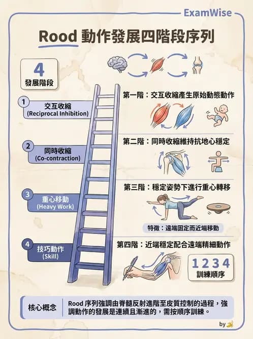 物治 - 腦中風治療手法應用 - AI 圖文解析預覽