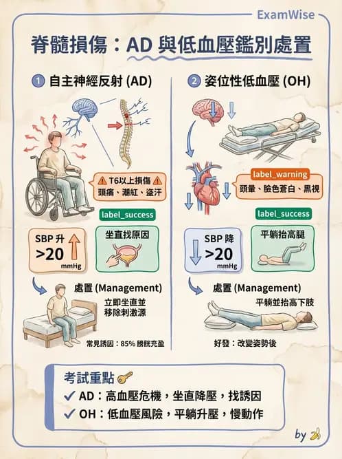 物治 - SCI併發症與呼吸管理 - AI 圖文解析預覽
