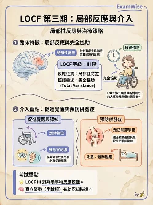 物治 - TBI LOCF分級與復健 - AI 圖文解析預覽
