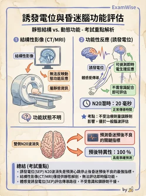 物治 - TBI病理評估與GCS - AI 圖文解析預覽