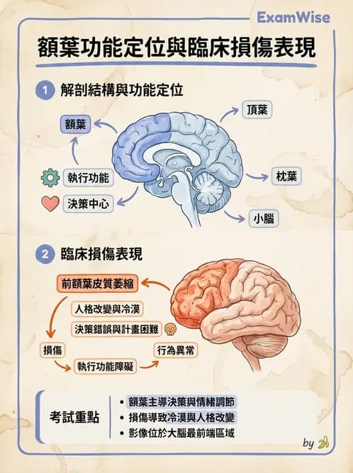 物治 - 失智症與認知退化 - AI 圖文解析預覽